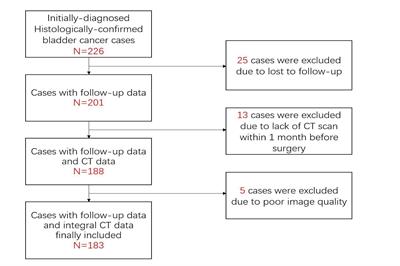 Feasibility Study on Predicting Recurrence Risk of Bladder Cancer Based on Radiomics Features of Multiphase CT Images